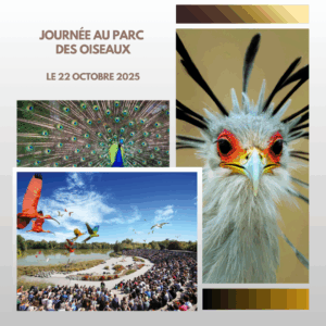 Journée au Parc des Oiseaux