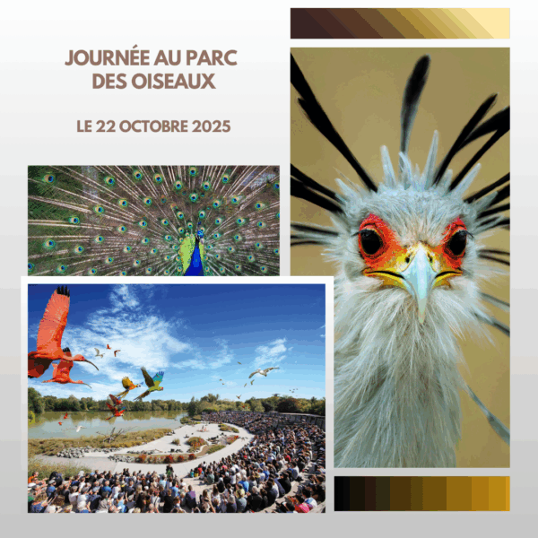 Journée au Parc des Oiseaux