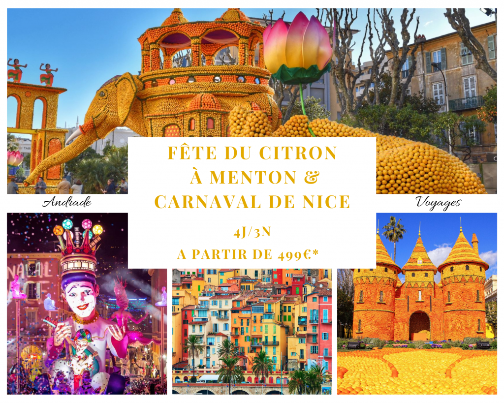 Carnaval des enfants - Fête du citron®