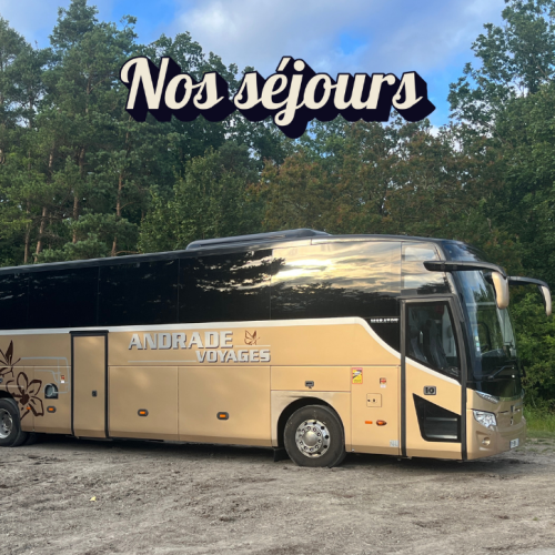 Copie de Copie de Sans titre (400 x 400 px)(6)